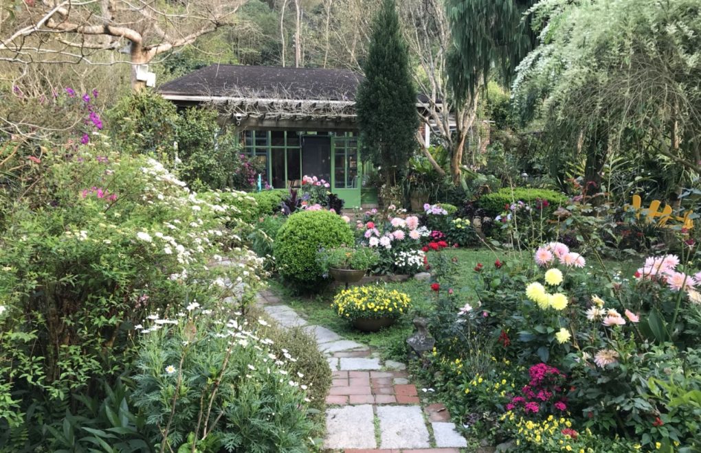 鄉村風、山芙蓉、庭園造景、龔羽涵室內設計、裝潢